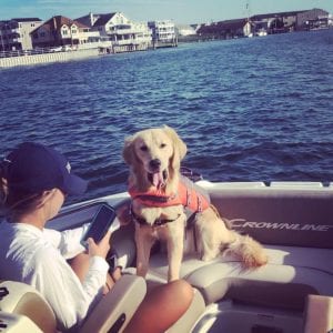 Happy Dog and Person on Boat